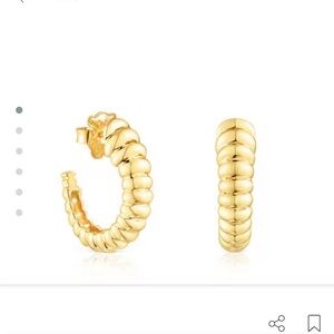 SILVER VERMEIL EARINGS VIRTUAL GARDEN